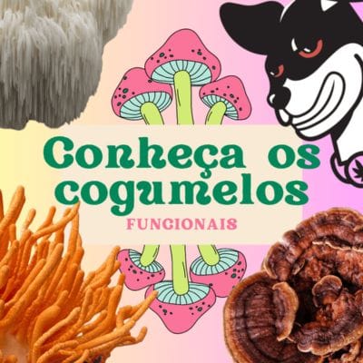 Cogumelos funcionais